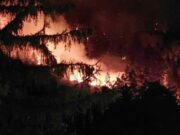 Incendiul de la Oituz. Peste 200 cartuşe rămase în pădure din timpul conflictelor armate, găsite de pirotehniști. Pompierii se luptă de cinci zile cu flăcările