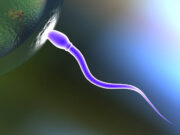 Dacă ești un donator de spermatozoizi, ar trebui să știi când să te oprești: un american este tatăl a 96 de copii Dacă ești un donator de spermatozoizi, ar trebui să știi când să te oprești: un american este tatăl a 96 de copii