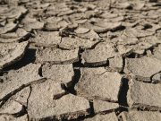 Comisia Europeană a aprobat o schemă de ajutor de stat a României în valoare de 400 de milioane de euro pentru despăgubirea fermierilor afectaţi de secetă