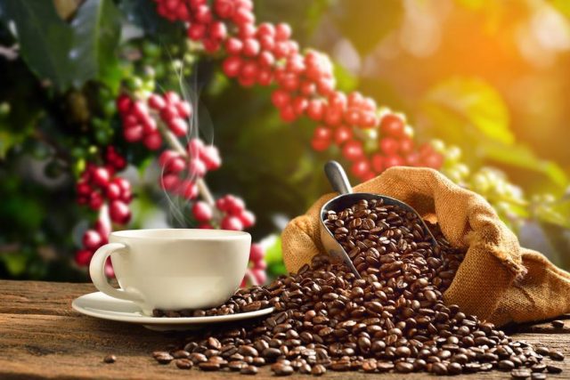cafea istorie